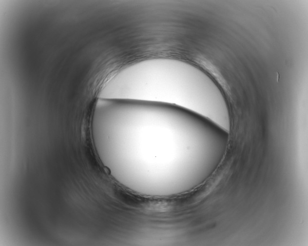 X0000089680161200706210821