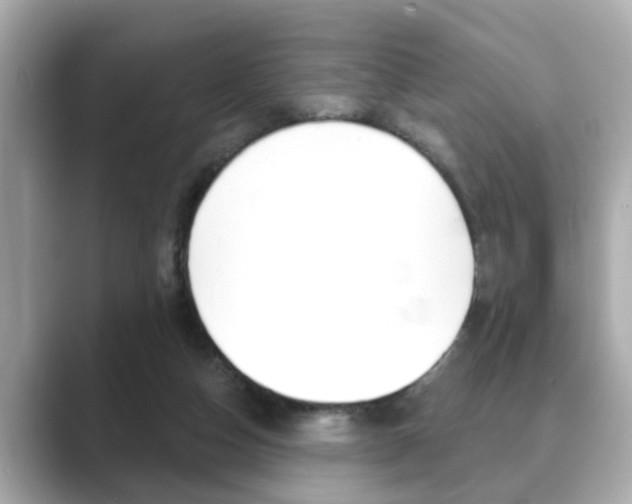 X0000089680162200706210821