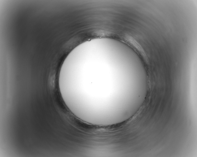 X0000089680163200706210821