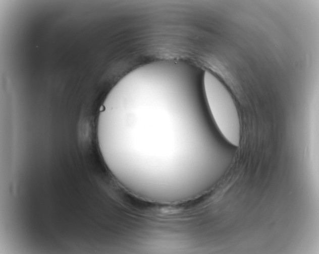 X0000089680165200706210821