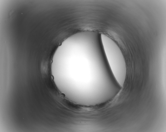 X0000089680167200706210821