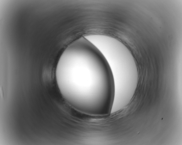 X0000089680168200706210821
