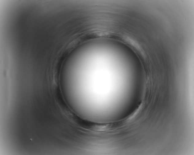 X0000089680170200706210821