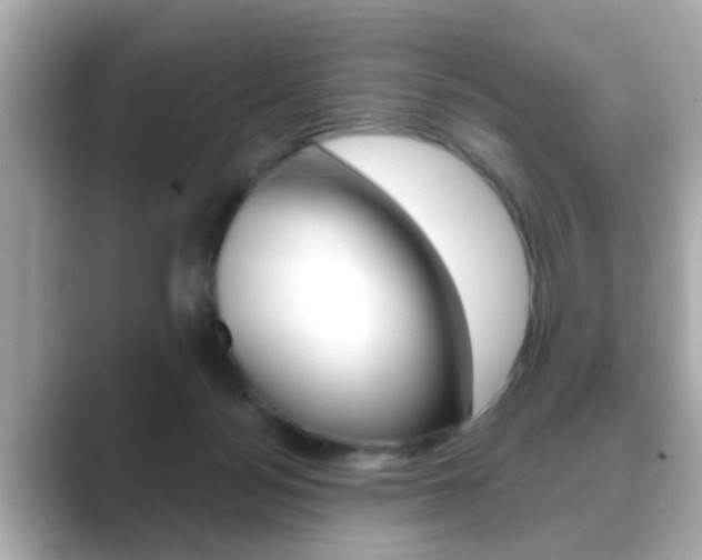 X0000089680172200706210821