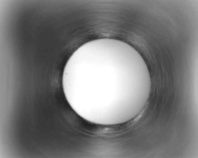 X0000089680174200706210821