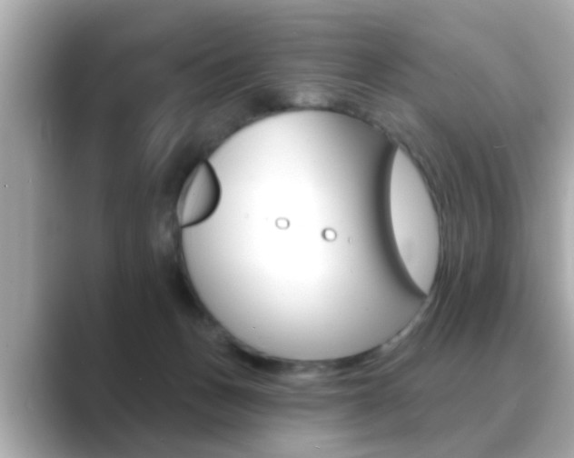 X0000089680175200706210821