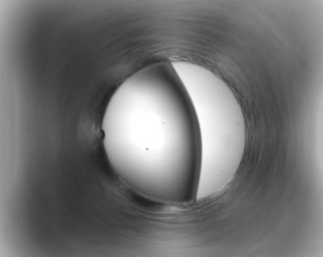X0000089680176200706210821