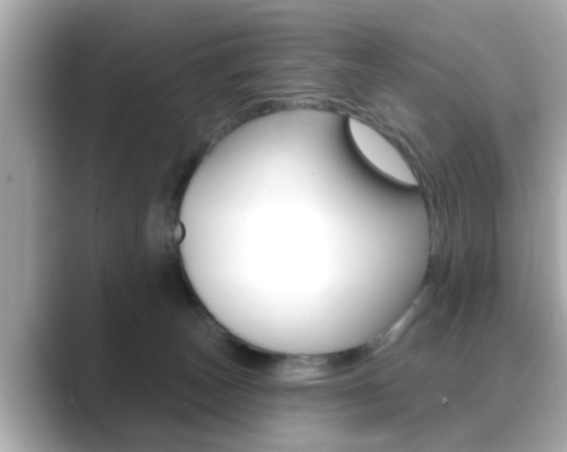 X0000089680179200706210821