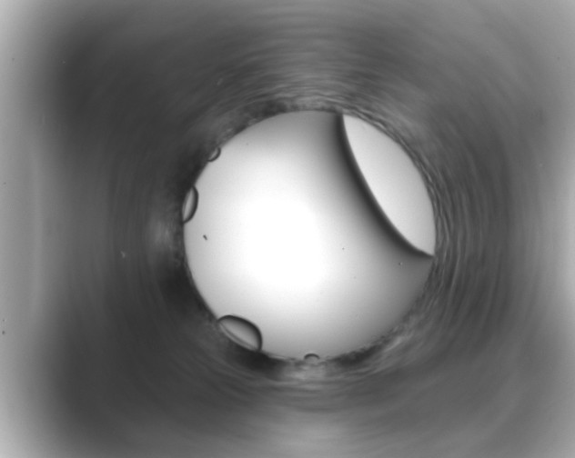 X0000089680181200706210821