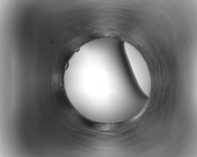 X0000089680182200706210821