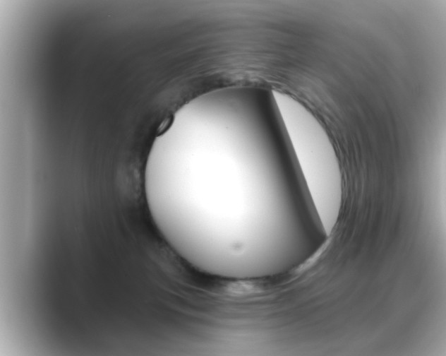 X0000089680183200706210821