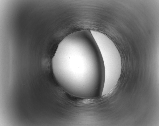 X0000089680184200706210821