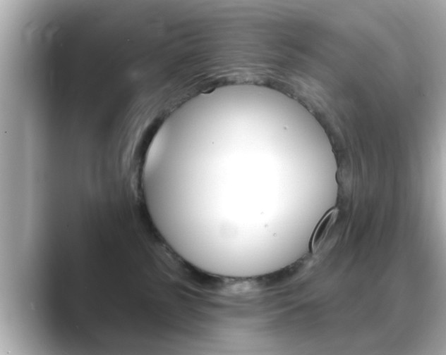 X0000089680185200706210821