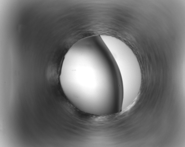 X0000089680186200706210821