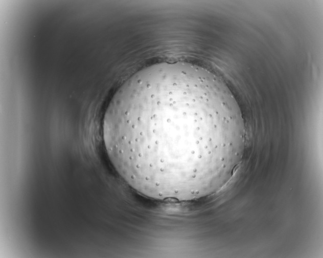 X0000089680187200706210821