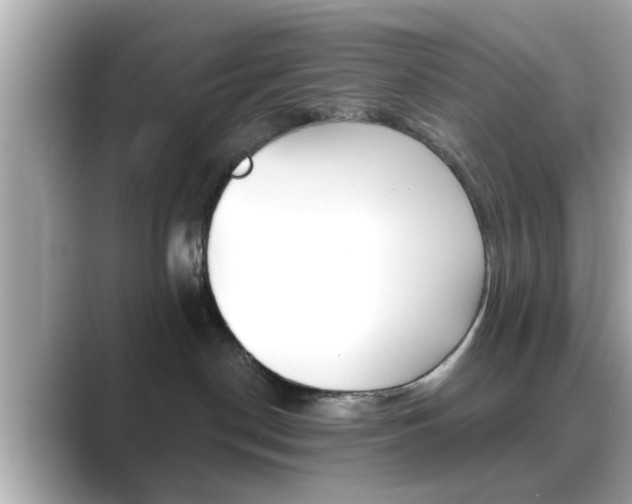 X0000089680190200706210821
