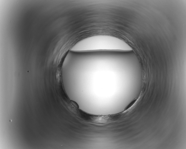 X0000089680191200706210821