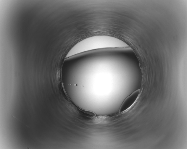 X0000089680192200706210821
