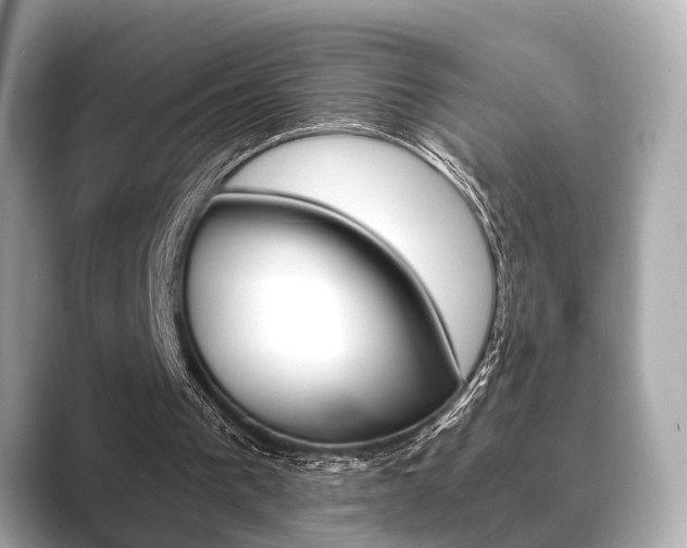 X0000089680193200706210821