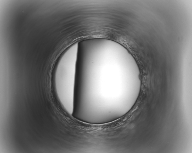 X0000089680194200706210821