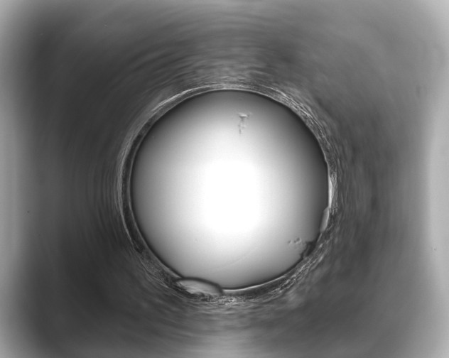 X0000089680195200706210821