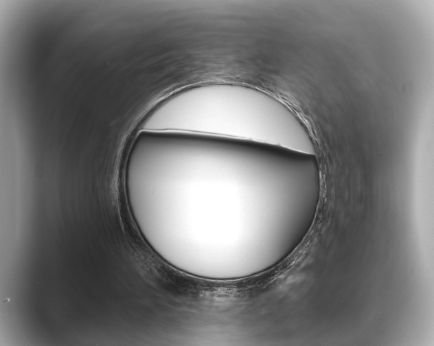 X0000089680196200706210821