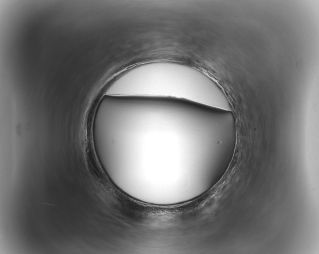X0000089680198200706210821
