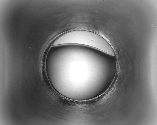 X0000089680199200706210821