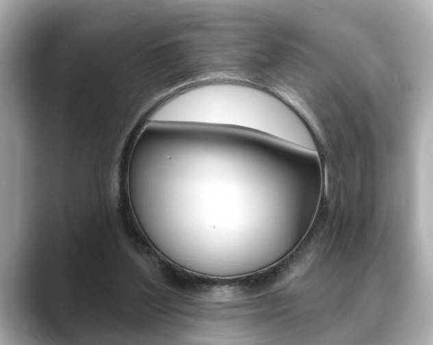 X0000089680204200706210821