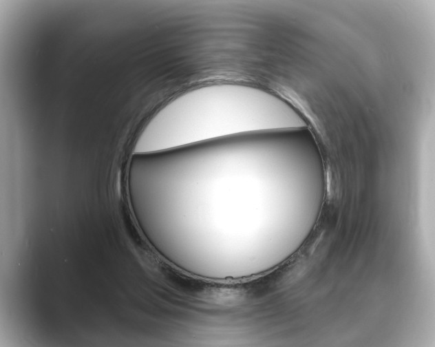 X0000089680205200706210821