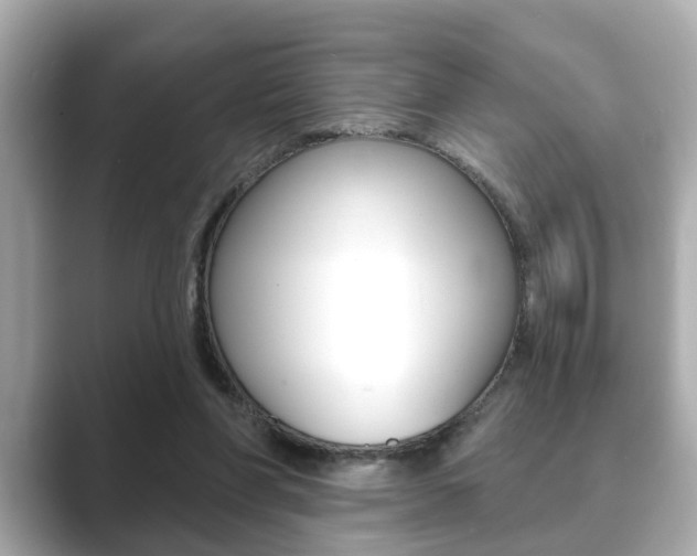 X0000089680206200706210821