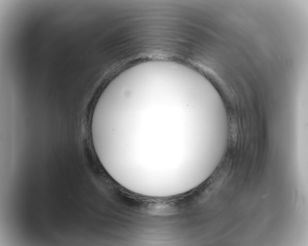 X0000089680208200706210821