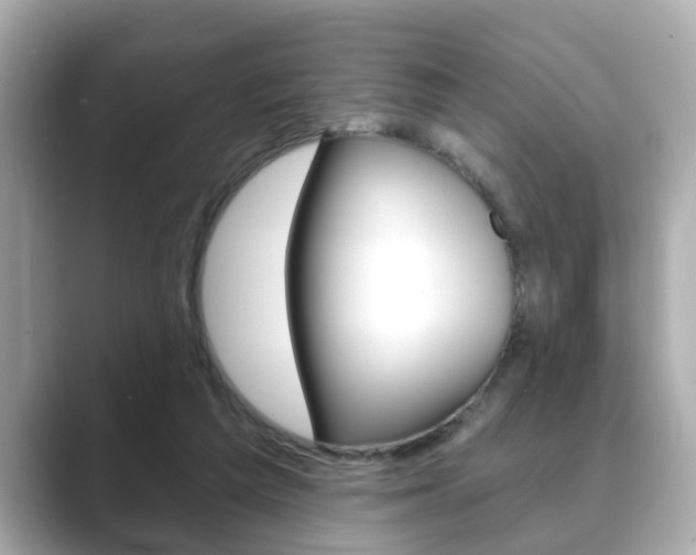 X0000089680209200706210820