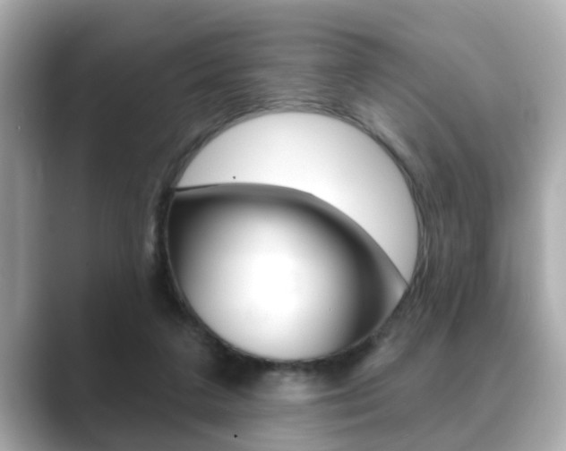 X0000089680211200706210820