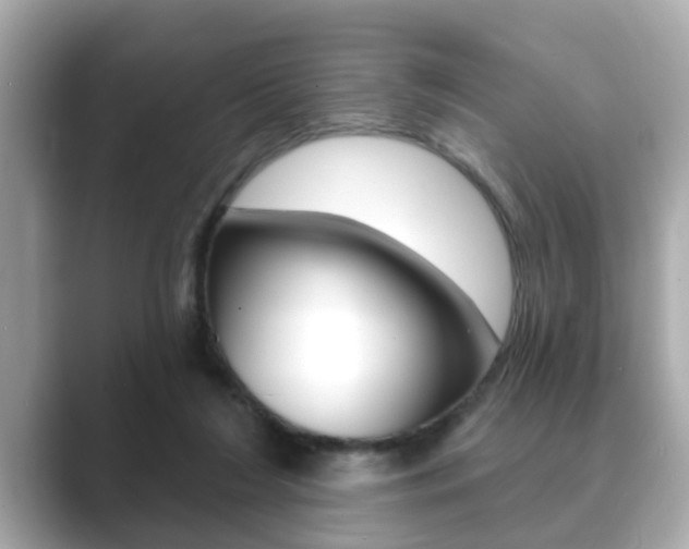 X0000089680212200706210820