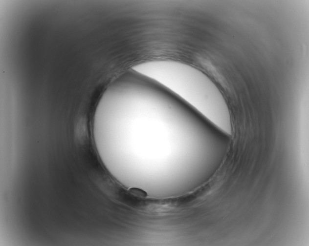 X0000089680213200706210820