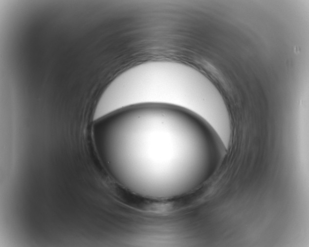 X0000089680217200706210820