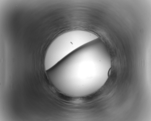 X0000089680218200706210820