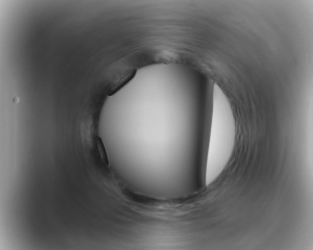 X0000089680223200706210820