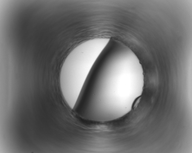 X0000089680224200706210820