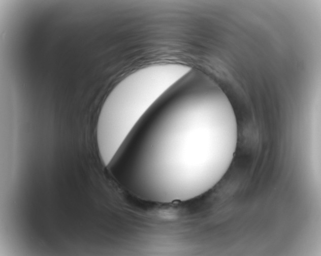 X0000089680228200706210820