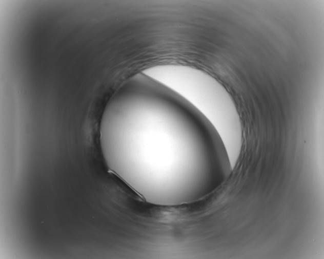 X0000089680229200706210820