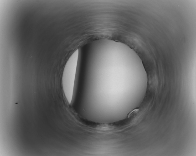 X0000089680231200706210820
