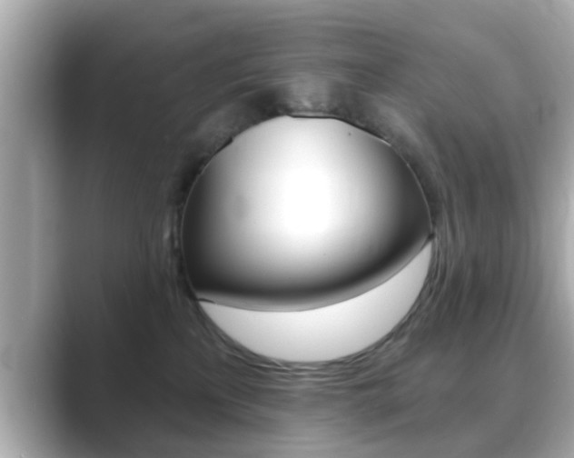 X0000089680233200706210820