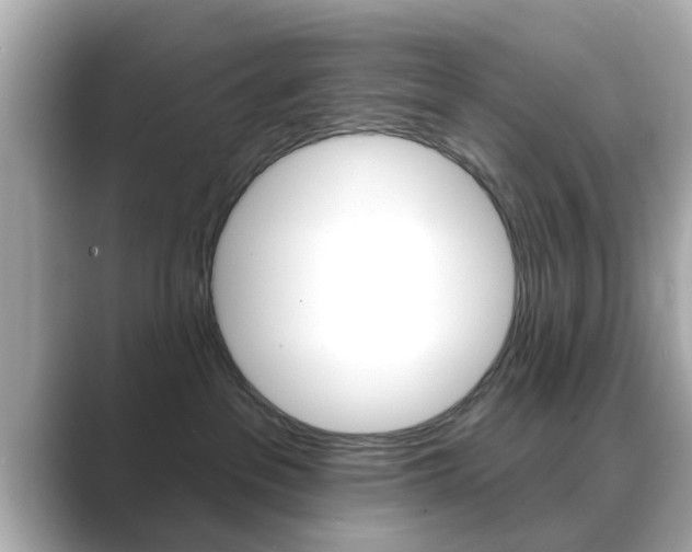X0000089680237200706210820