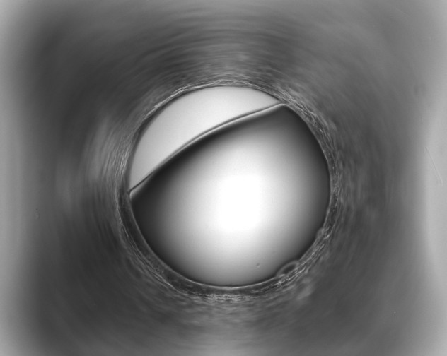 X0000089680242200706210819