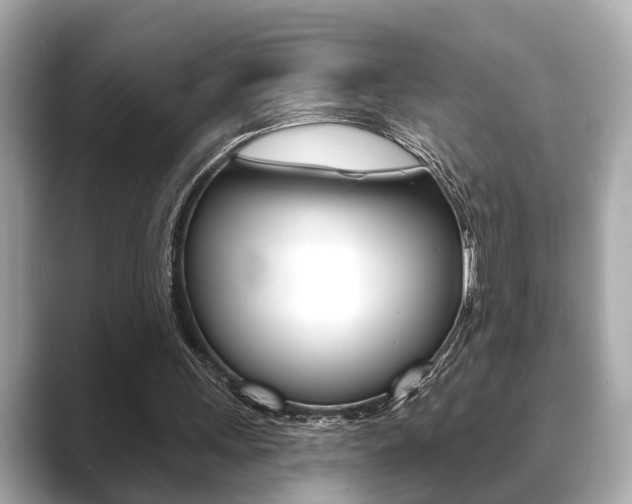 X0000089680243200706210819