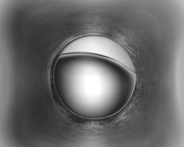 X0000089680244200706210820