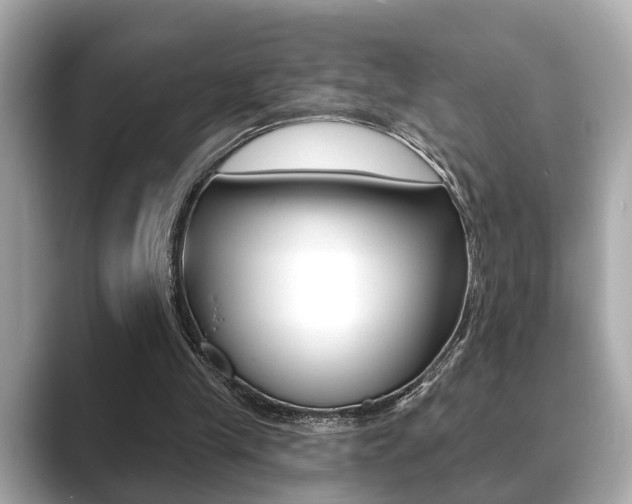 X0000089680245200706210820