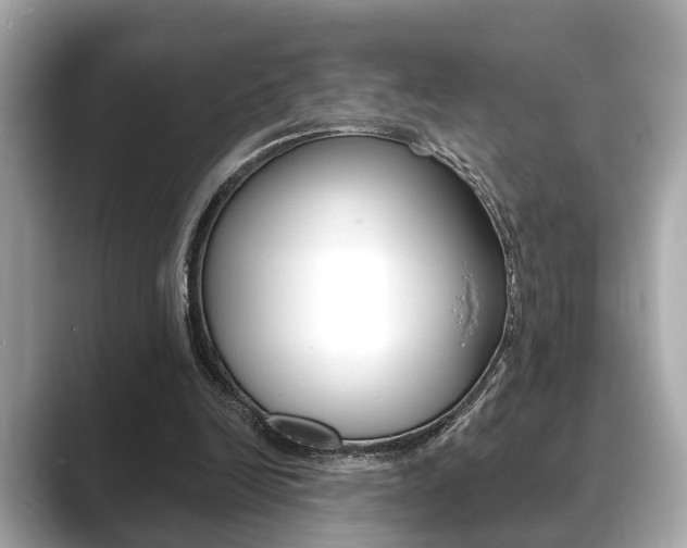X0000089680246200706210820